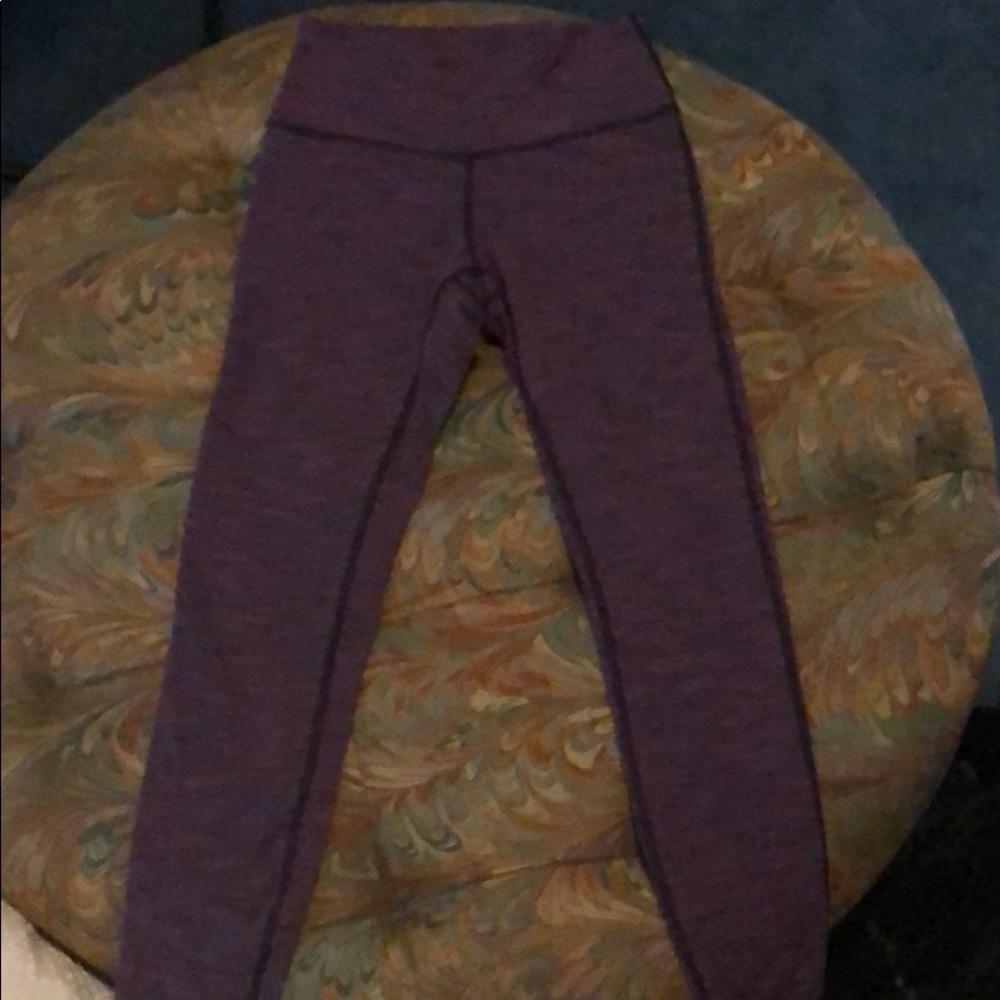 Sz 4 wunder under high rise crops